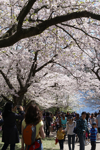 Hanami