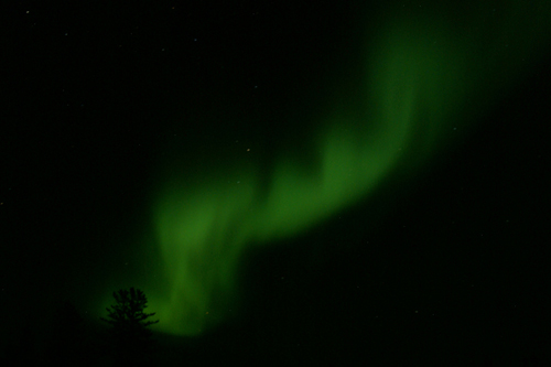 Aurora