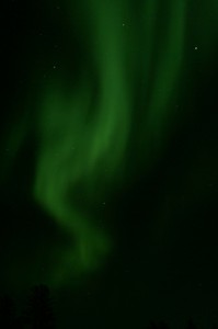 Aurora