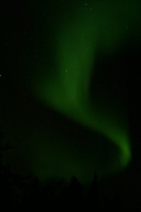 Aurora