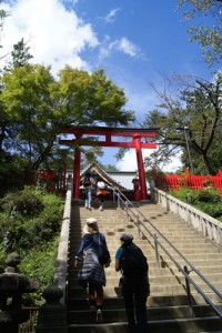Mt. Takao