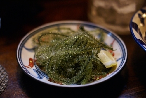 Yuunangii