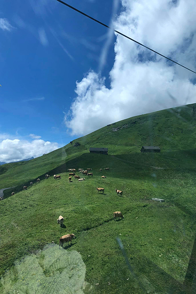 Swiss Alps