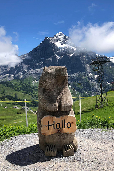 Swiss Alps