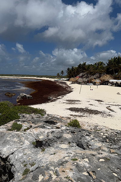 Cozumel