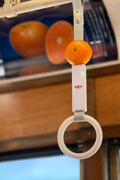 Mikan Densha